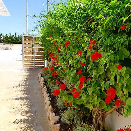 Punta Prosciutto Bed