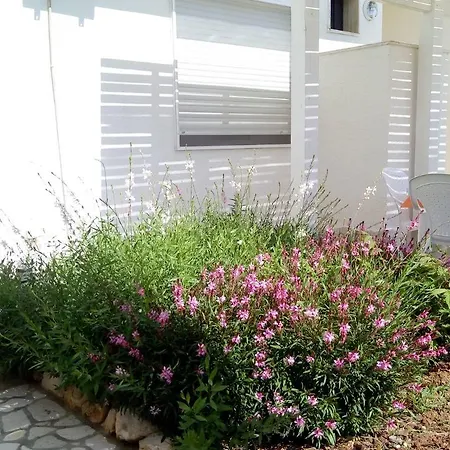 Punta Prosciutto Bed * Torre Lapillo